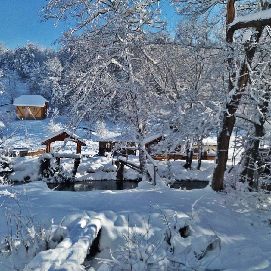 Seoski Turizam Zilicina Rogatica Bagian luar foto