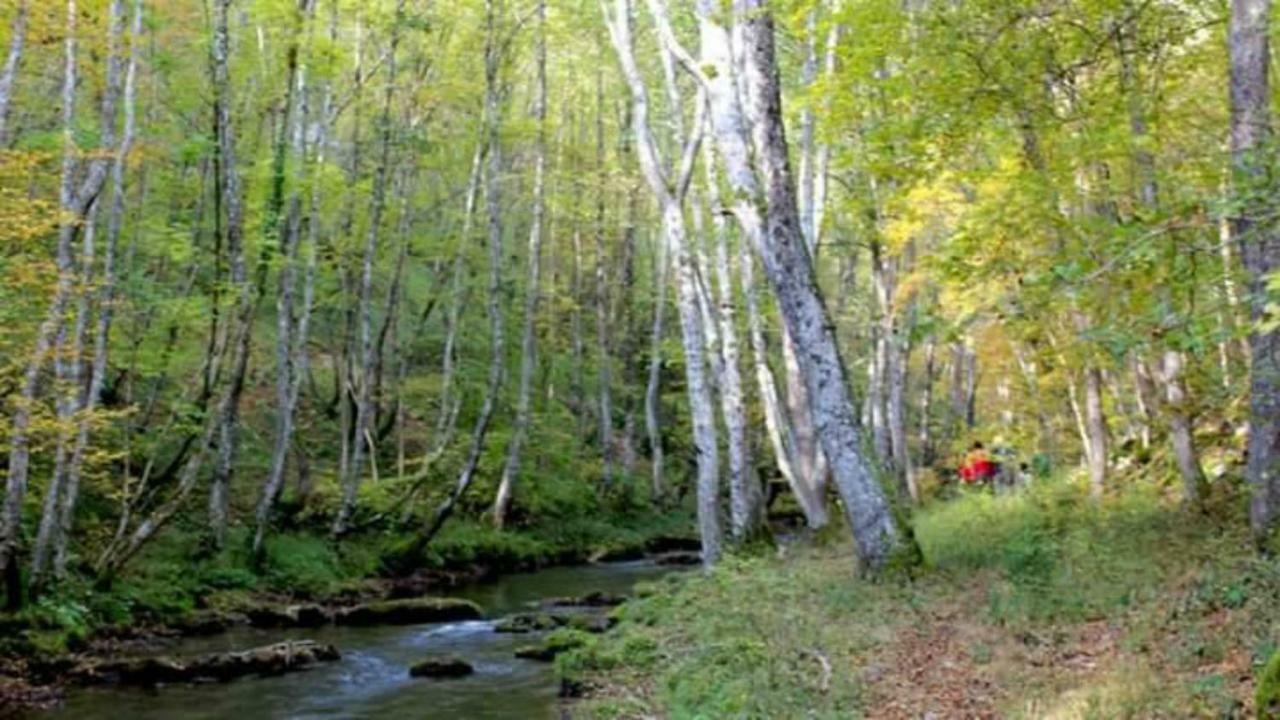 Seoski Turizam Zilicina Rogatica Bagian luar foto