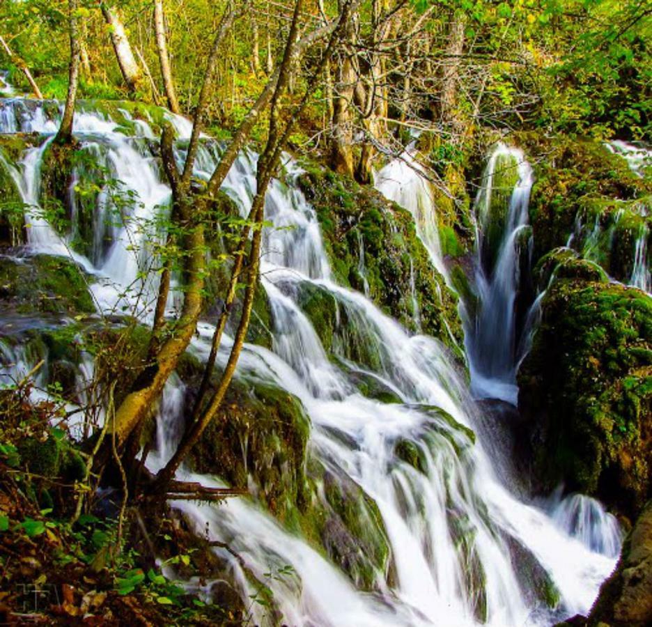 Seoski Turizam Zilicina Rogatica Bagian luar foto